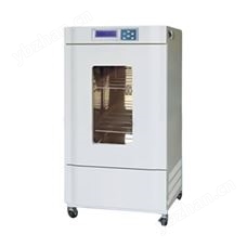 BLH-300電池專用高溫測試箱