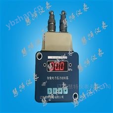 YSJ-LZ-220-1-G智能電子壓力控制器