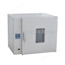DHG-9070A電熱鼓風(fēng)