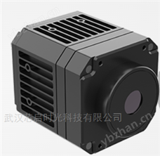 IPN256高德 人體網絡型測溫機芯