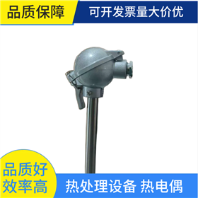 齐全东大热电偶 热处理工业炉专用 测温元件