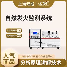 CSI-X096自然发火监测系统 提供检测方案