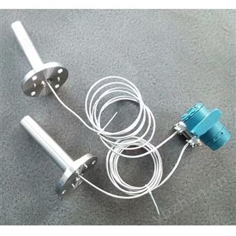 電容式雙插入筒差壓/液位變送器