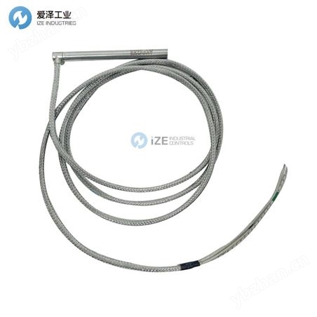 DUREX熱電偶F19 5470429