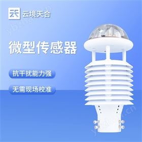 微型氣象傳感器 微型氣象傳感器