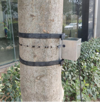 TR400樹木生長傳感器