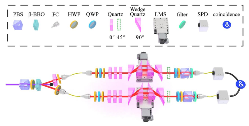 中国科大实现多体量子速度极限