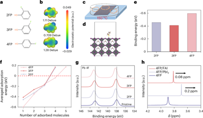 北理工团队在全印刷钙钛矿模组研究中取得重要进展