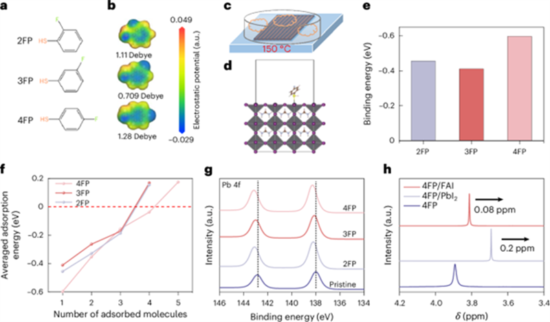 北理工团队在全印刷钙钛矿模组研究中取得重要进展