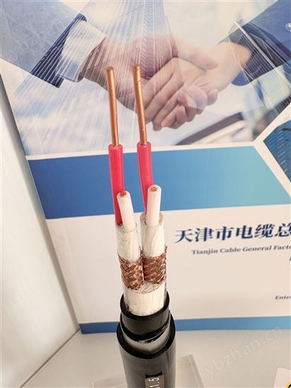 ZR-DJYPV-22鎧裝計算機電纜