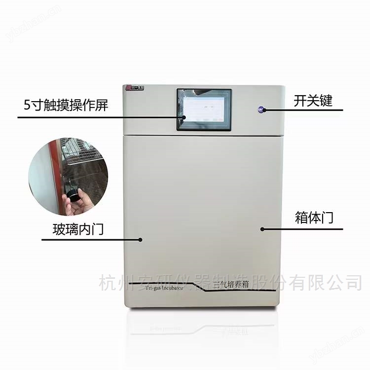 三氣培養(yǎng)箱 微生物恒溫培養(yǎng) 低氧高氧控制