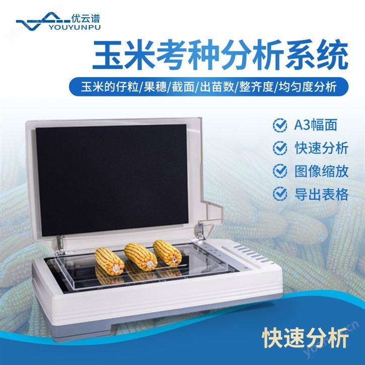 玉米考種分析系統(tǒng)