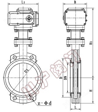 D971J電動襯膠蝶閥 結(jié)構(gòu)圖