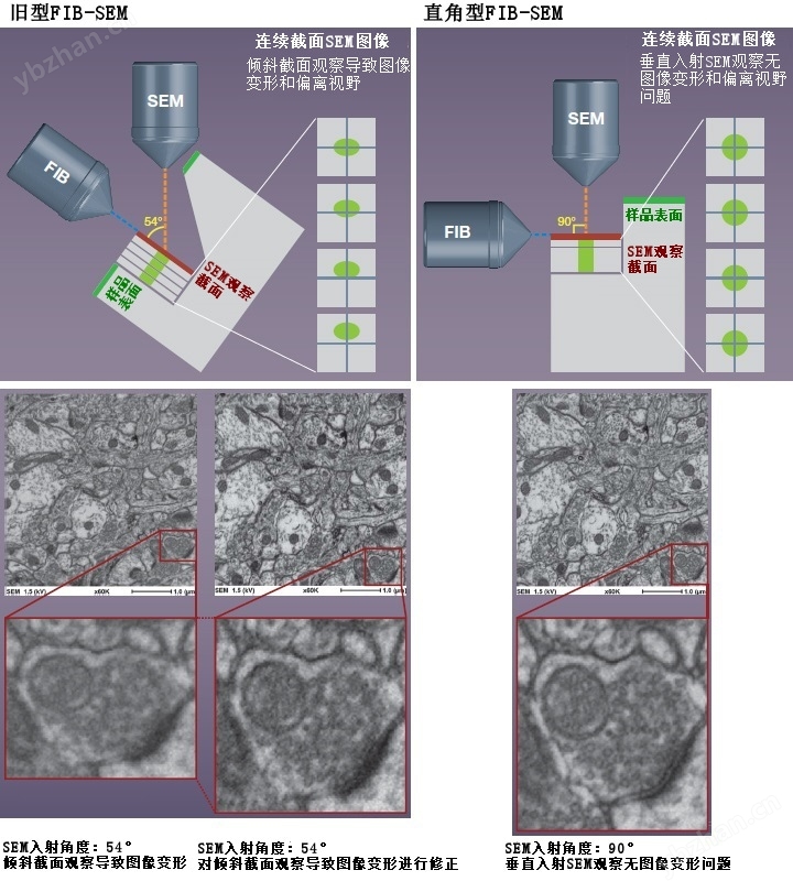 舊型FIB-SEM、直角型FIB-SEM