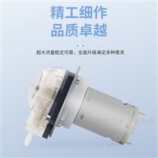 直流有刷蠕动泵