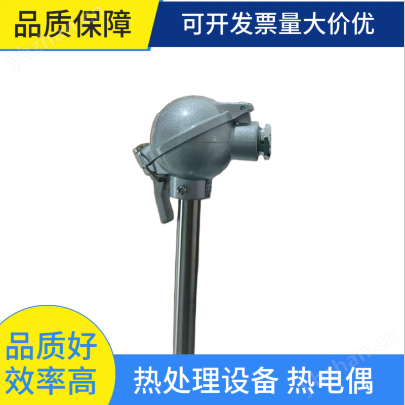 热处理专用热电偶 可适应恶劣工况