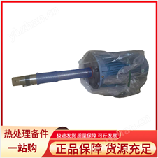 瑞士进口长轴电机 高效率与可靠性