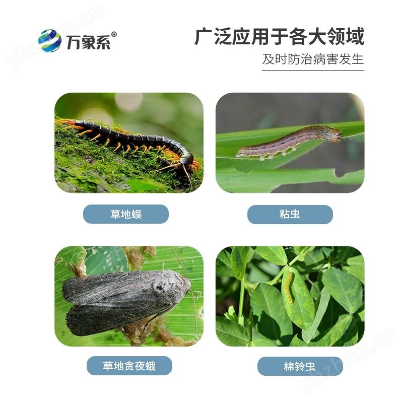 草地貪夜娥高空殺蟲(chóng)燈