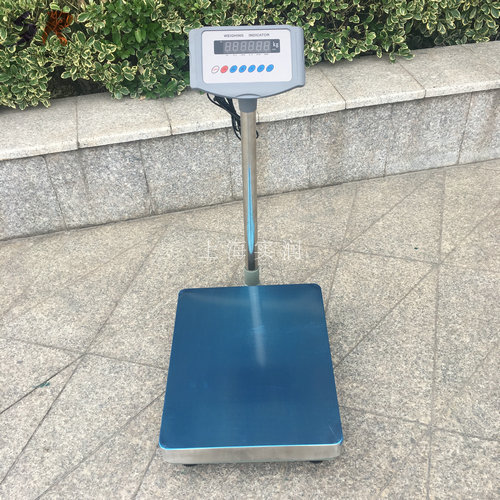 485臺秤 (2).JPG 485臺秤 (2).JPG