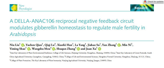 New Phytologist（IF=8.1）|DAP-seq助力解析拟南芥雄性育性调控网络