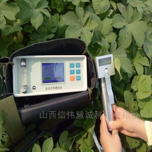 植物光合作用測定儀