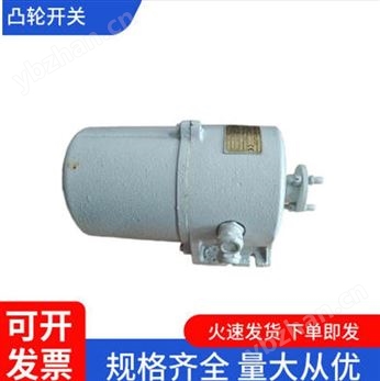 威圖 凸輪開關